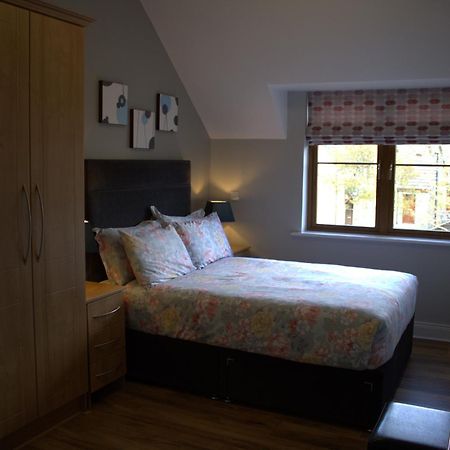 Cosy Holidayhomes Kerry 肯梅尔 外观 照片