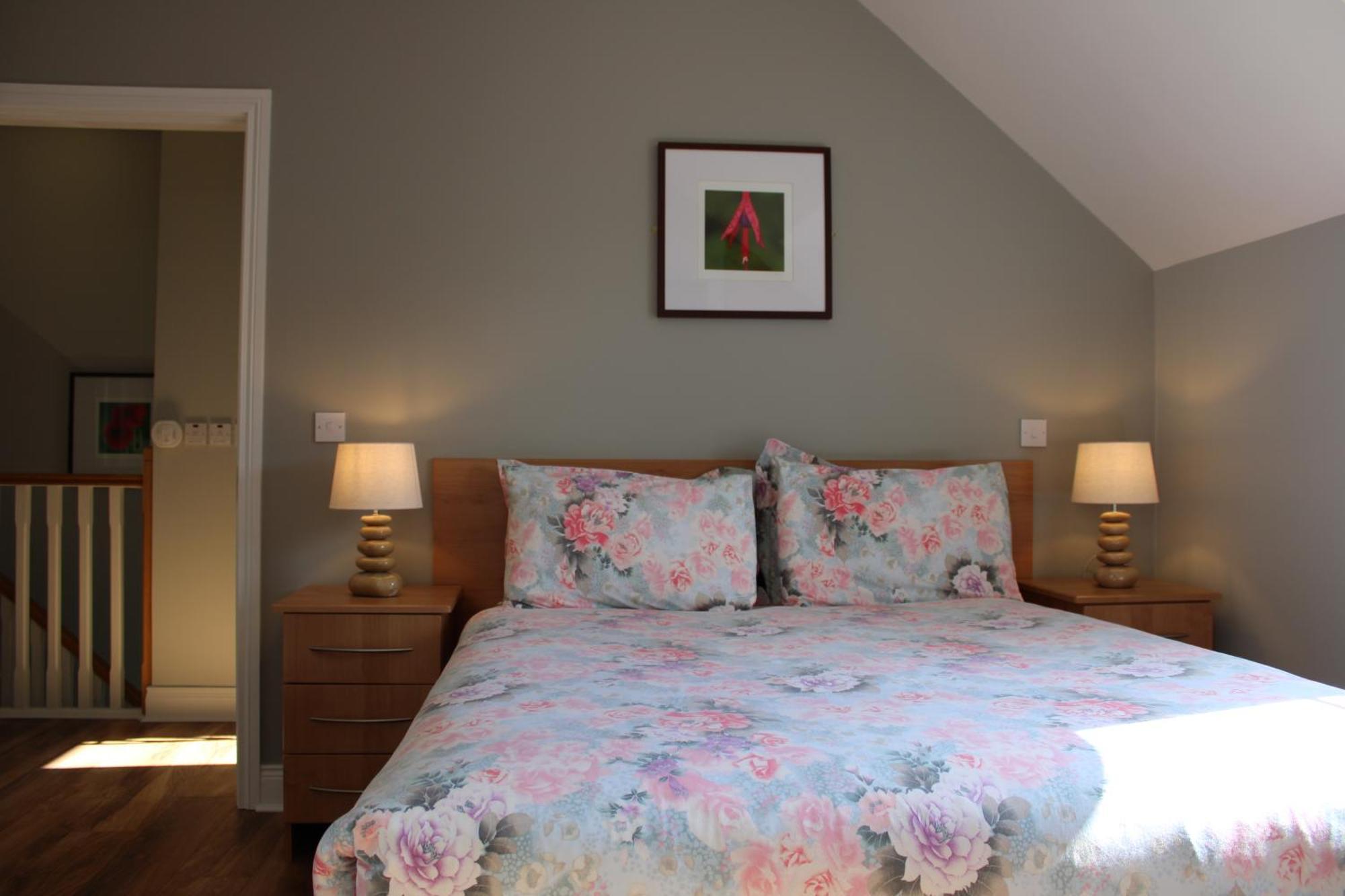 Cosy Holidayhomes Kerry 肯梅尔 外观 照片